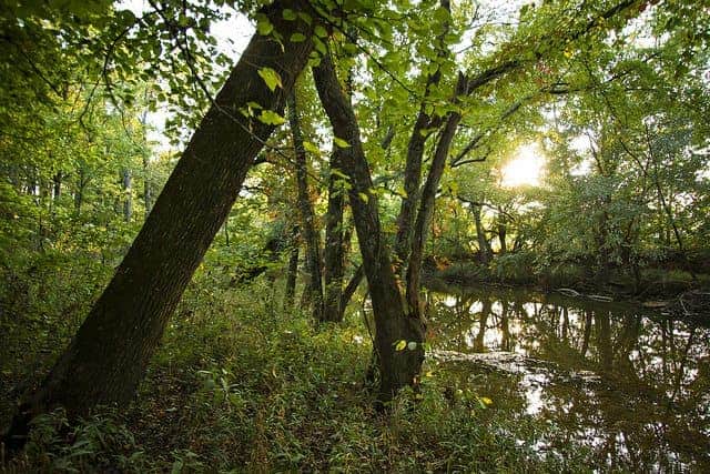 The Best Mark Twain Camping - Steelville