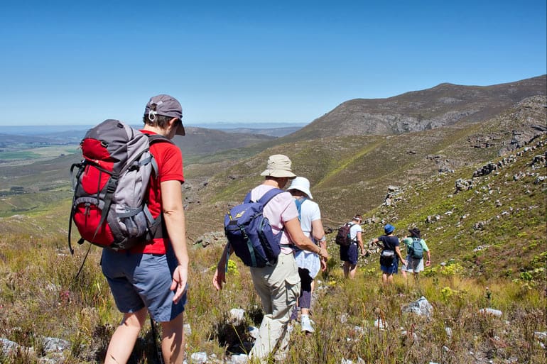 Best Sunglasses - Range of Faces