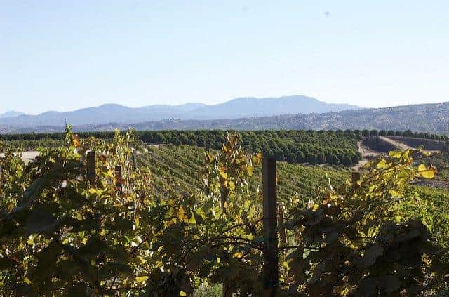 The Best Anza Borrego Camping - Temecula