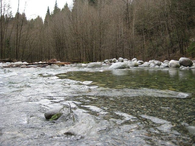 Best Camping in Texas - Traders Village RV Park