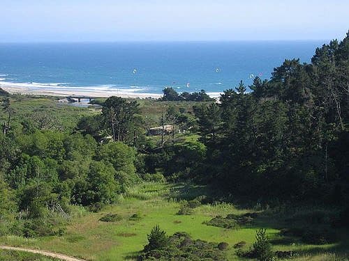 Best Camping in Big Basin - Twin Redwoods Campground