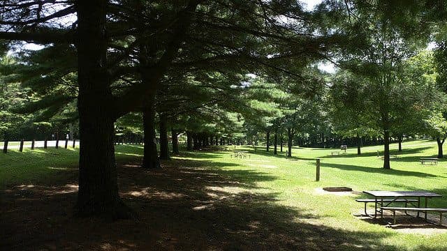 Best Camping in Illinois - White Pines State Park